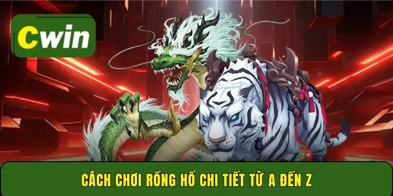 Cách chơi rồng hổ chi tiết từ a đến z