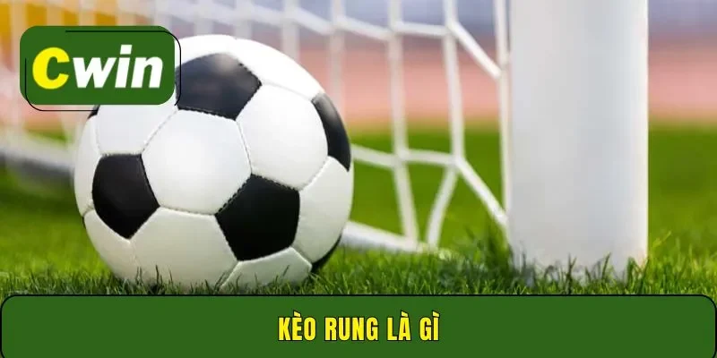 Kèo rung là gì? Kinh nghiệm cược luôn thắng lớn tại Cwin